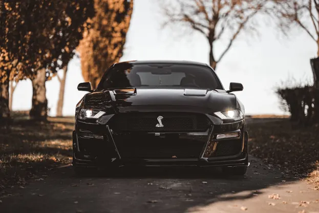 Ripper Casino Android/iOS rakendus